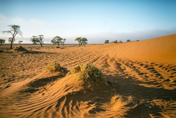 The Western Desert