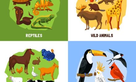 The Animal World