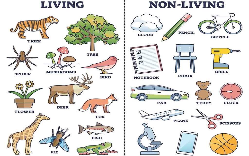 Living and Non-Living Things