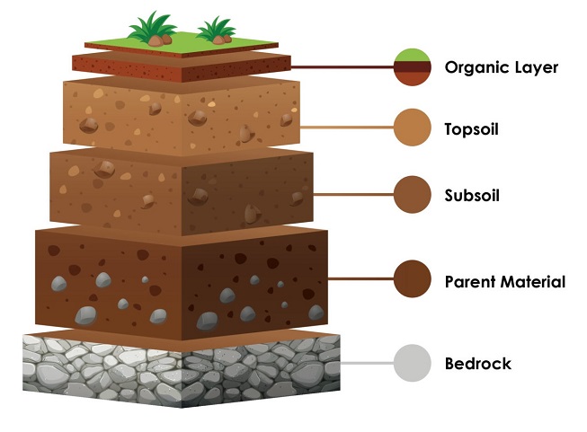 Soil