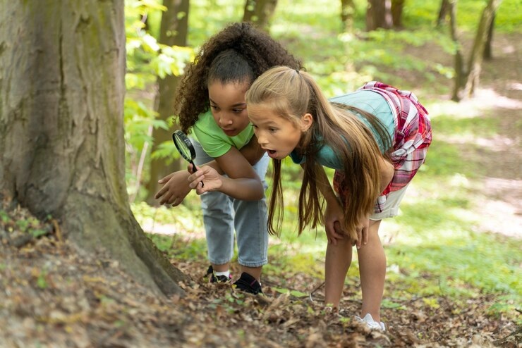 Plant Power: Fun and Interactive Activities for Grade 1