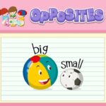 Understanding Opposites (Antonyms)