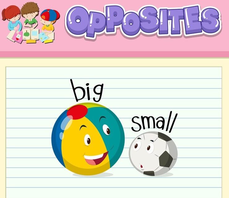 Understanding Opposites (Antonyms)