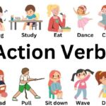 The Action Words – Verbs