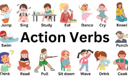 The Action Words – Verbs